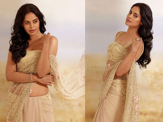 Gorgeous Looks Of Mindu Madhavi In Saree